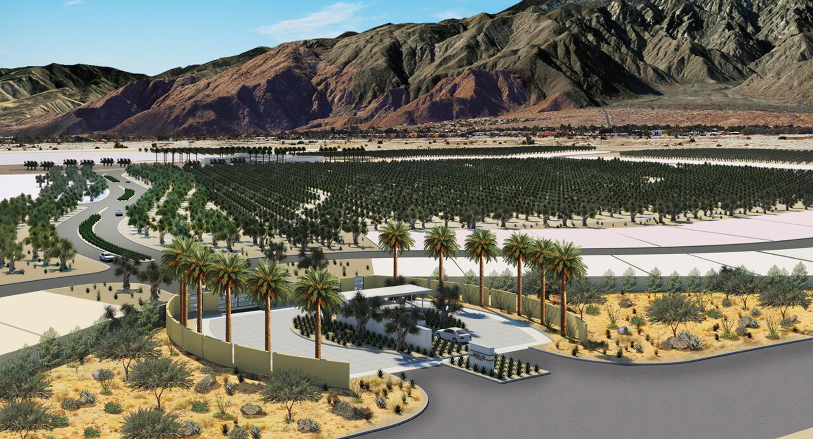 Goodbye golf course, hello olive groves! New Palm Springs enclave to become an ‘agri-hood’